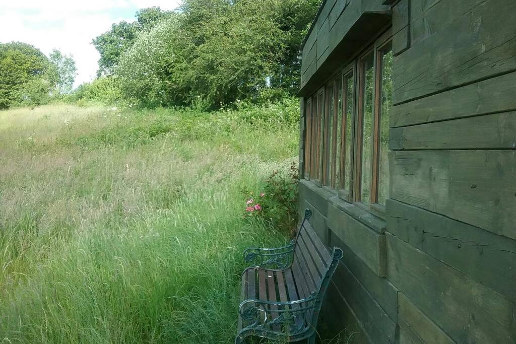 Stags View,Unique Eco Cabin, Dartmoor Views South Brent Exterior photo